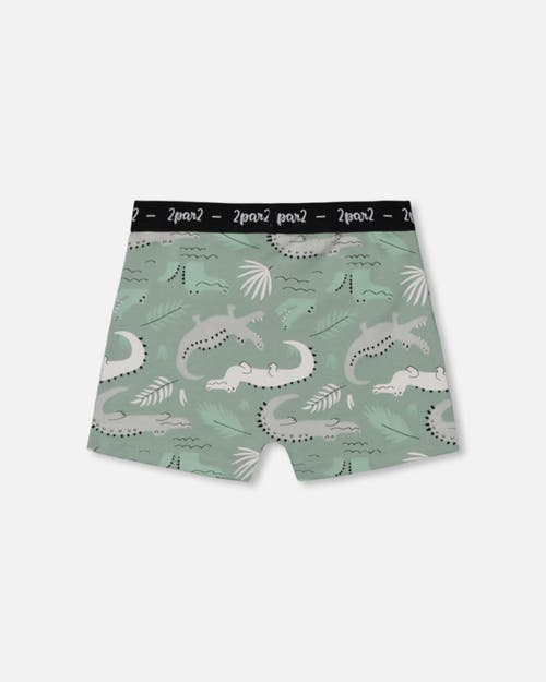 Deux Par Deux Boy's Printed Organic Cotton Boxer Shorts Light Sage And Gray Crocodile In Light Sage And Gray Crocodile