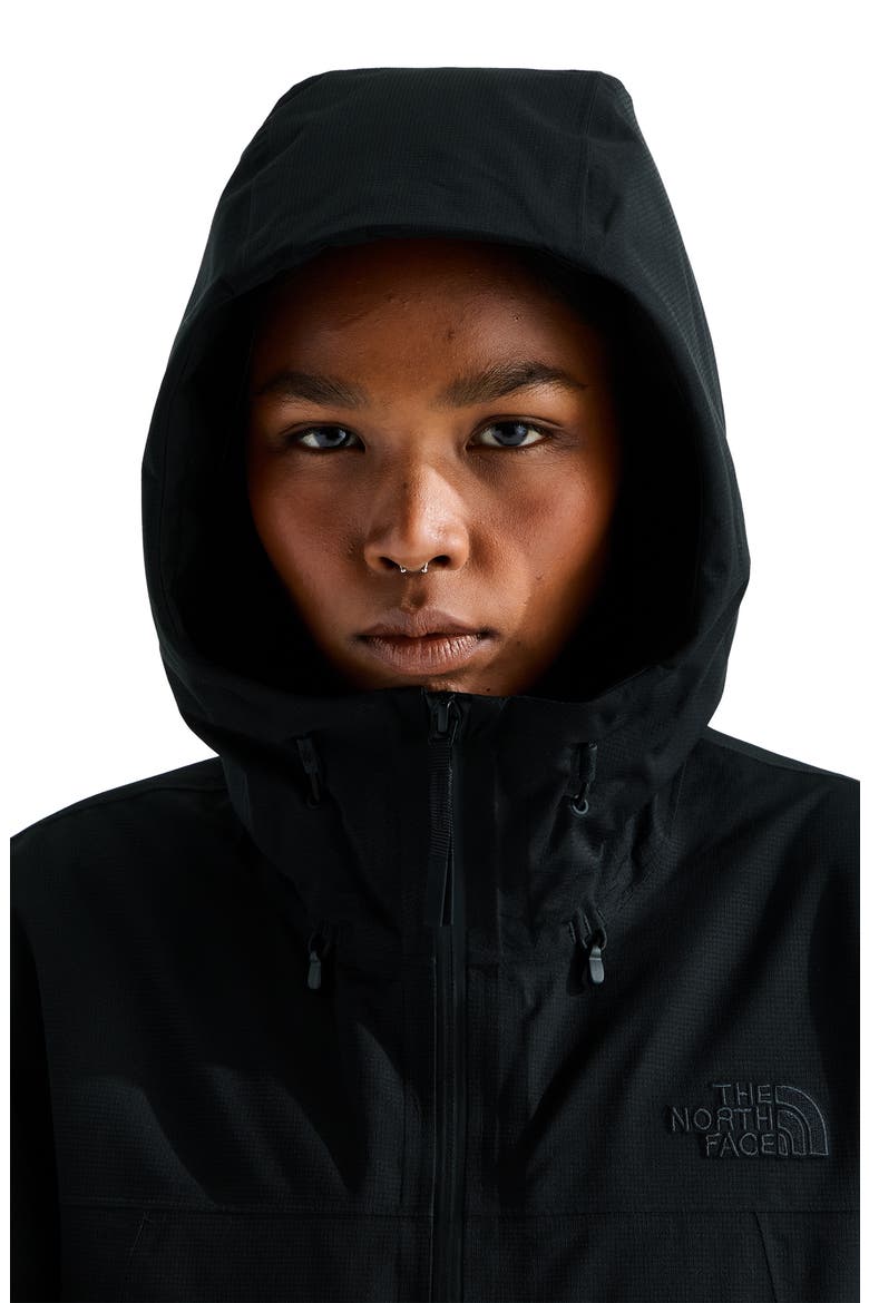 TNF Range DryVent Hooded Parka, Alternate, color, TNF BLACK