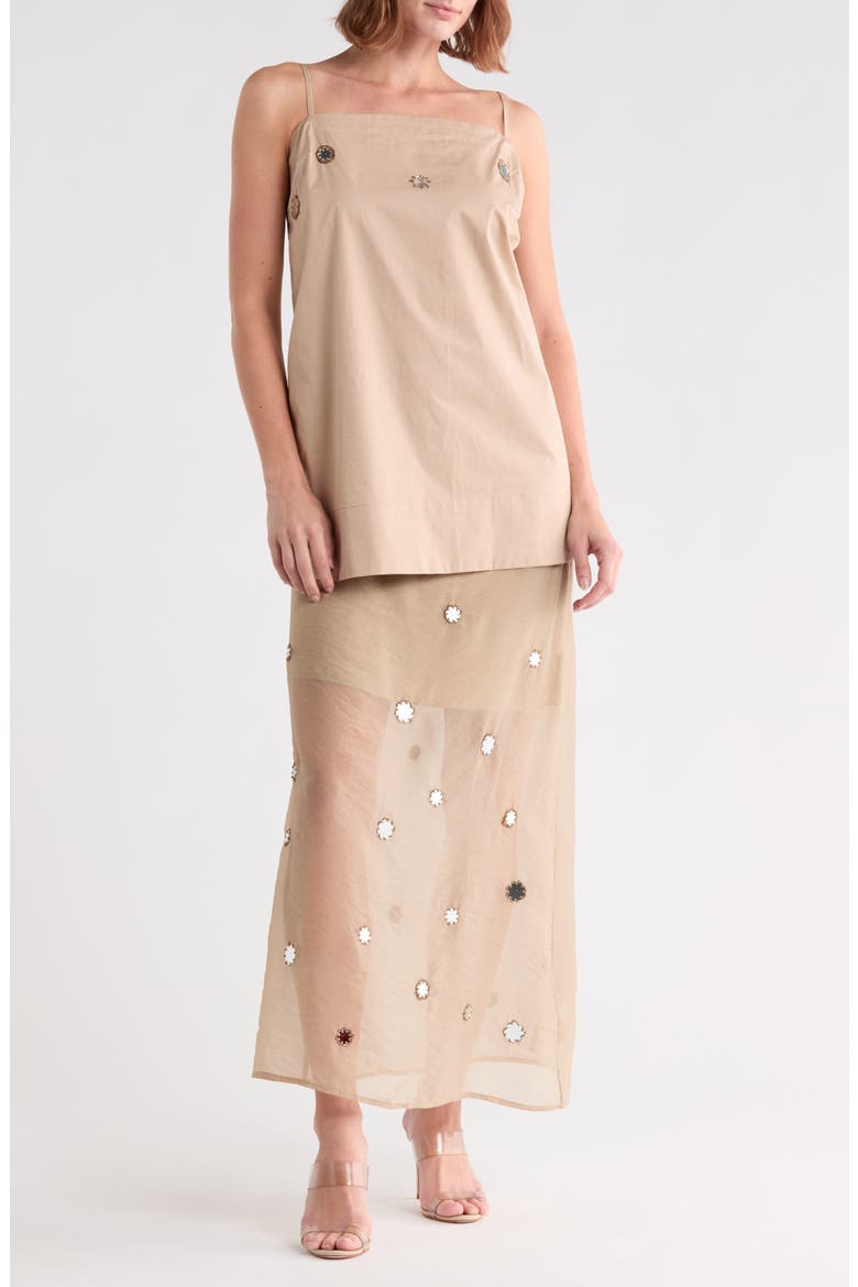 Through the Looking Glass Maxi Dress, Main, color, BEIGE
