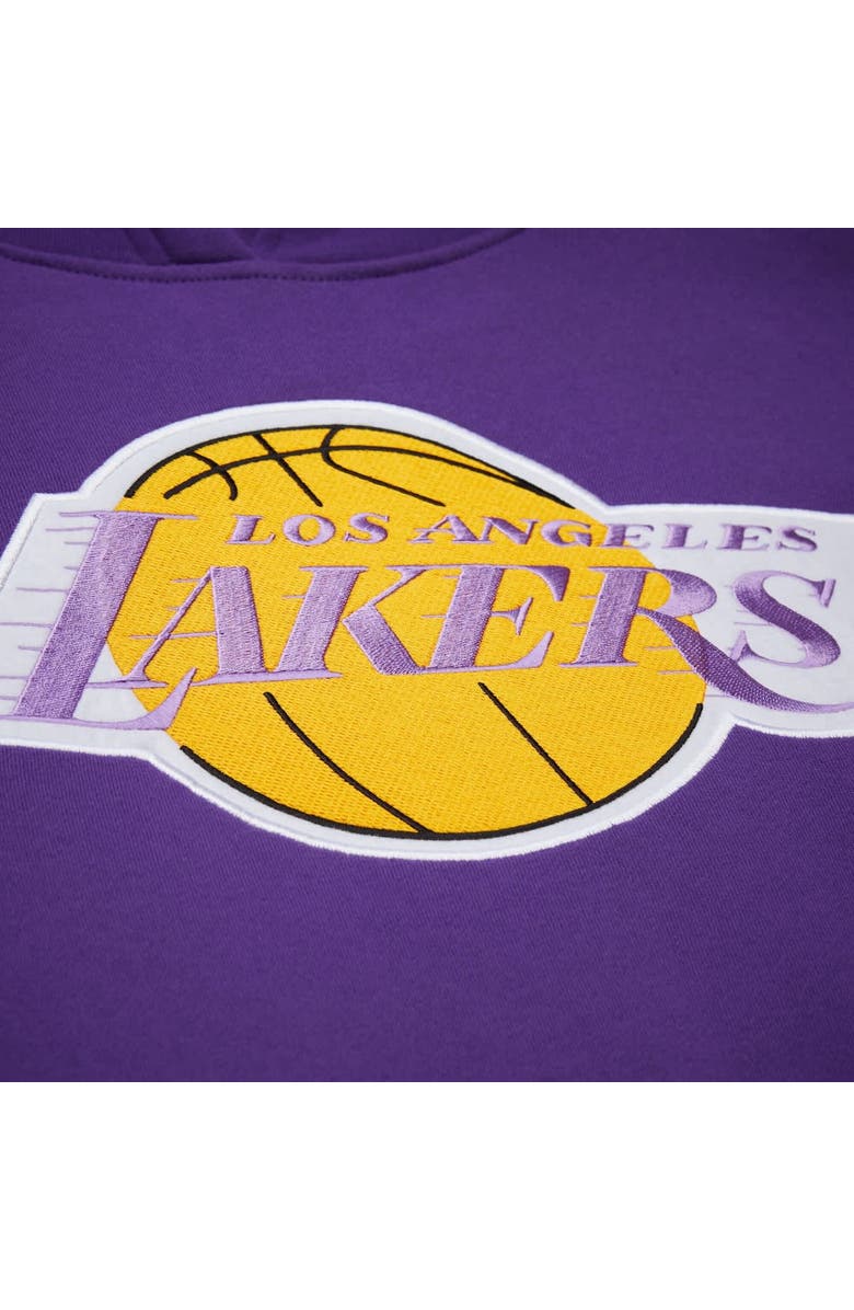 Mitchell & Ness Men's Mitchell & Ness Purple Los Angeles Lakers Hardwood Classics Team Origins Fleece Pullover Hoodie, Alternate, color, Purple