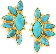 YS GEMS Mohave Turquoise Earrings