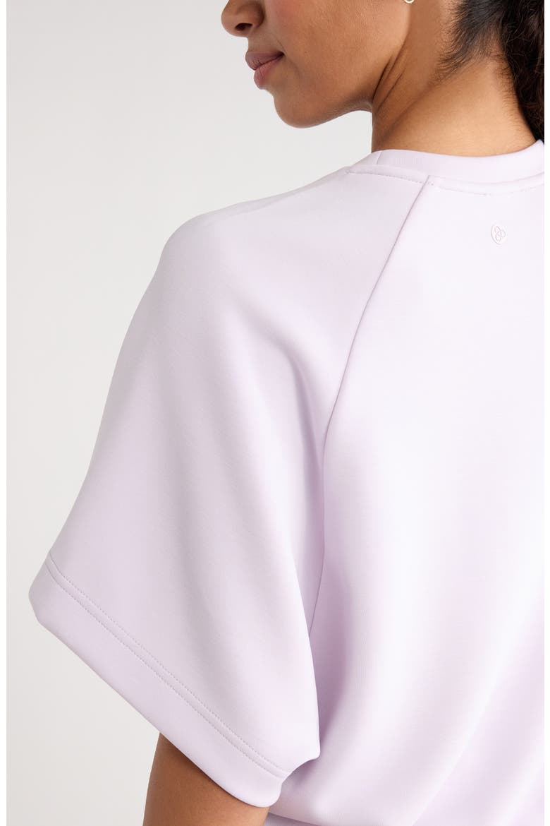 Soft Luxe Raglan Sleeve T-Shirt, Alternate, color, PURPLE HUSH