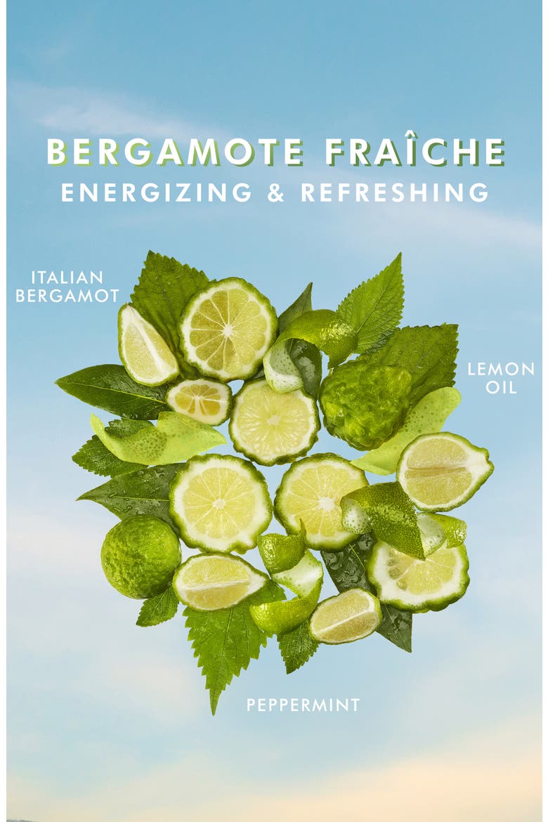 Hand Cream, Alternate, color, BERGAMOTE FRAICHE 3.4 OZ