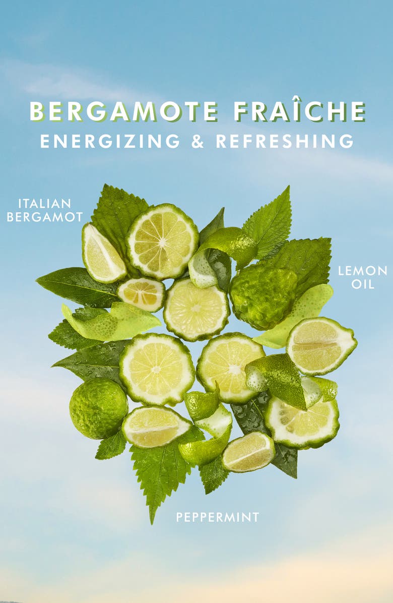 MOROCCANOIL<sup>®</sup> Hand Cream, Alternate, color, Bergamote Fraiche 3.4 Oz