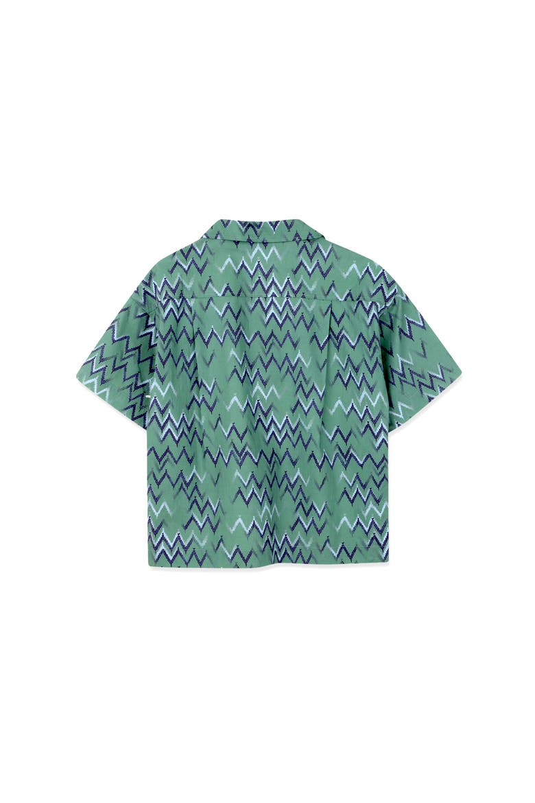 Kids Oversized Printed Cotton Shirt, Alternate, color, Jade