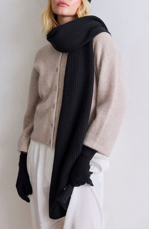 Arctic Fox & Co. Arctic Fox & Co The Recycled Bottle Scarf In Black