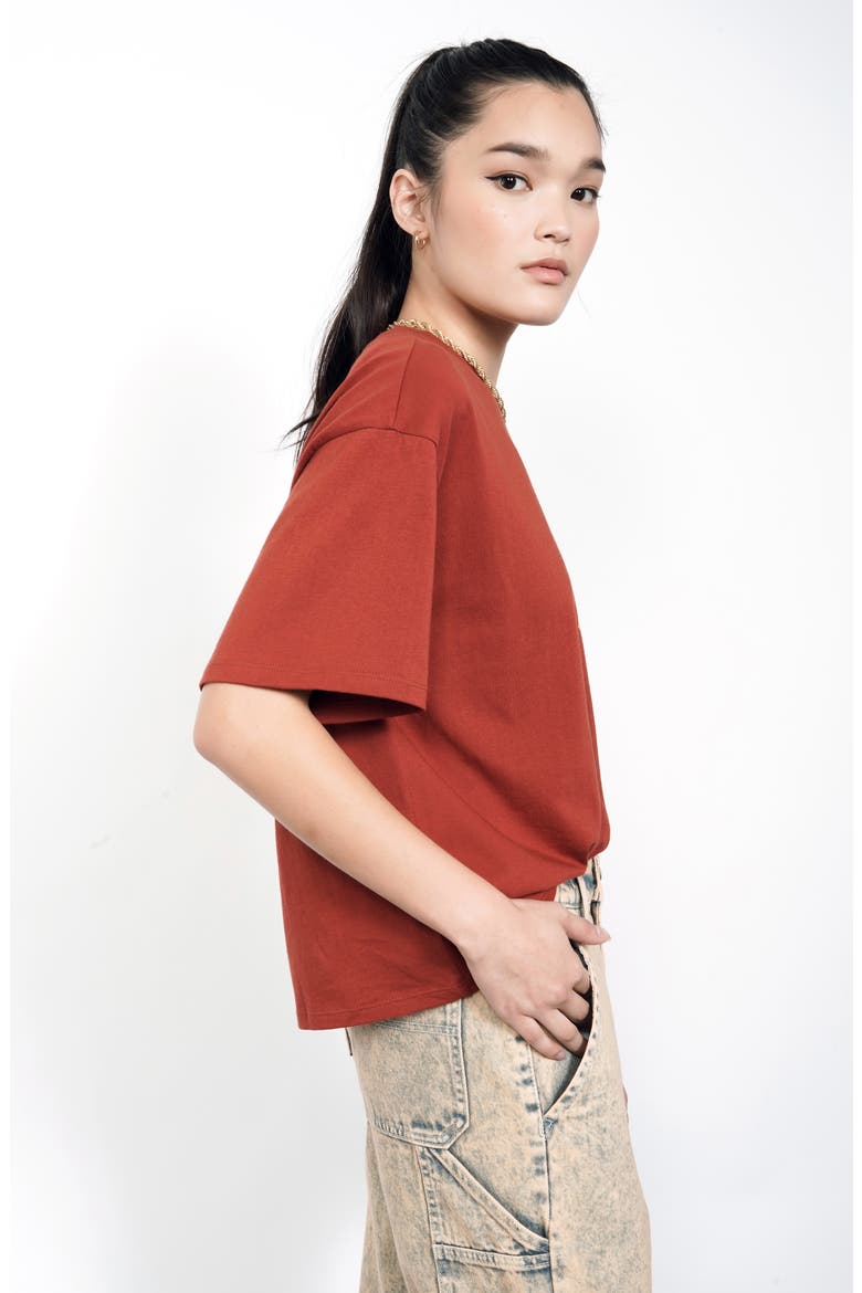 Boxy Graphic Tee (Nordstrom Exclusive), Alternate, color, RUST SOMETHING ELSE