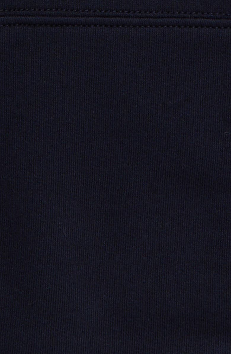 Polo Ralph Lauren Kids' Plaid Appliqué Logo Graphic Hoodie, Alternate, color, 