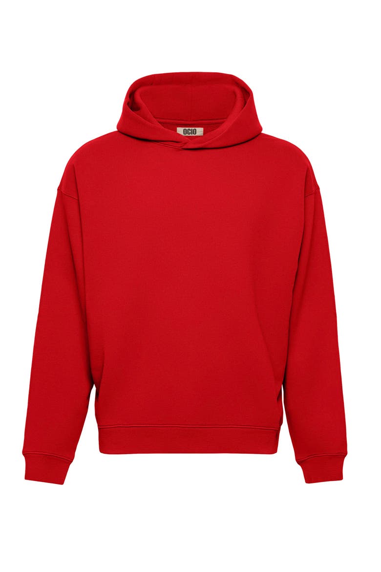 Men's Organic Cotton Teddy Oversized Hoodie, Alternate, color, Pop