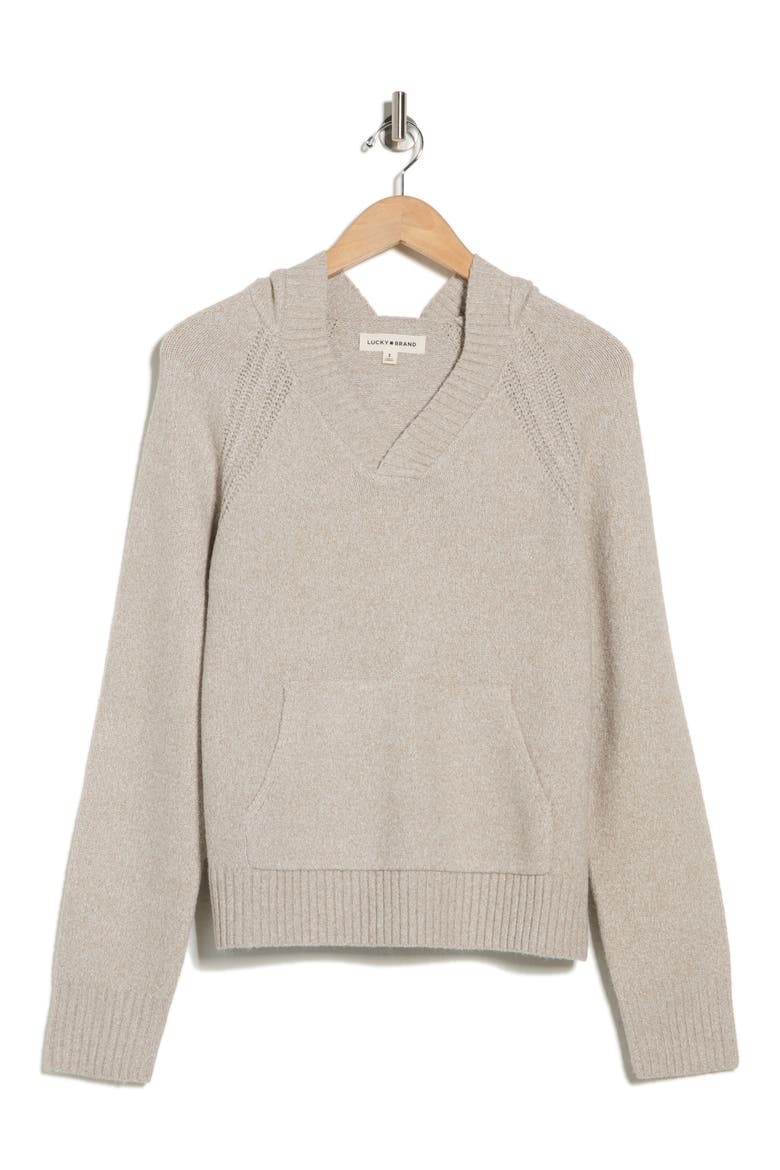 Solid Hooded Sweater, Alternate, color, PLAZA TAUPE