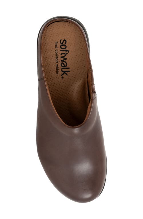 Softwalk ® Andria Mule In Dark Brown