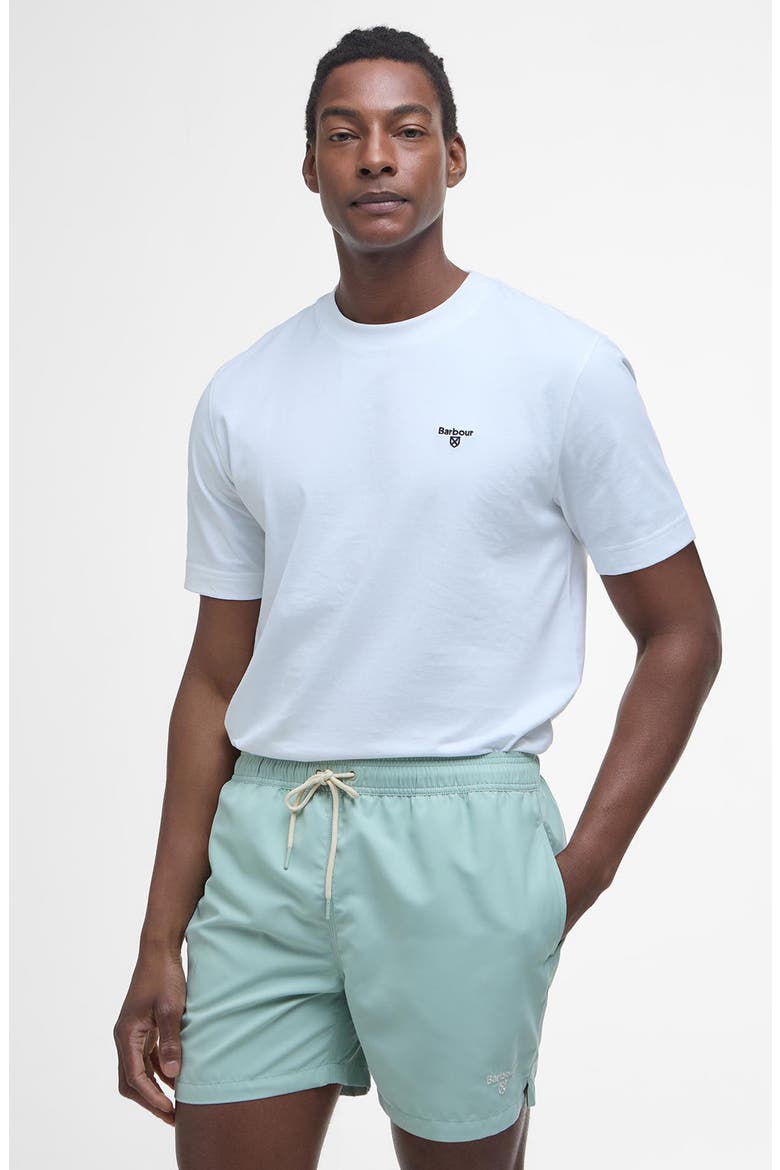 Staple Logo Swim Trunks, Alternate, color, PALE APPLE GREEN