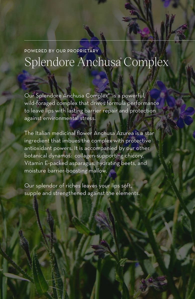 Furtuna Skin Olive Lip Butter Balm, Alternate, color, 