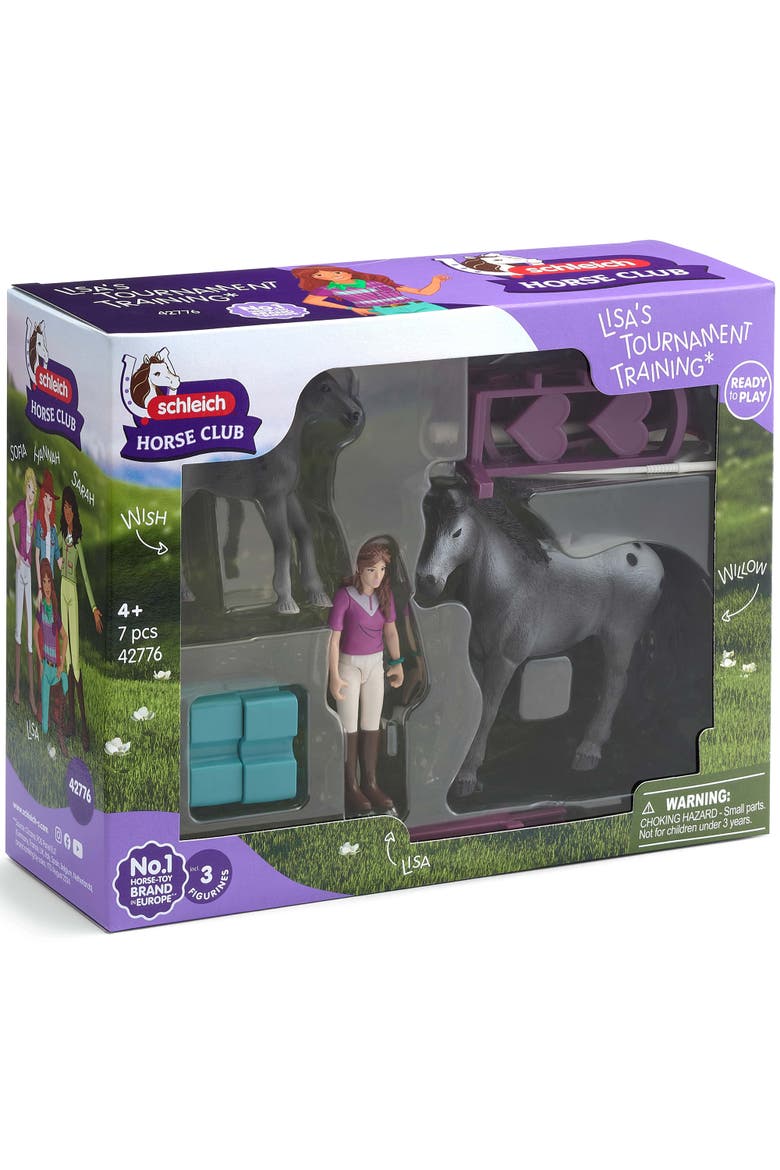 Horse Club, Lisa's Tournament Training, 7 Piece Playset, Posable Rider, 4+, Alternate, color, Multicolored
