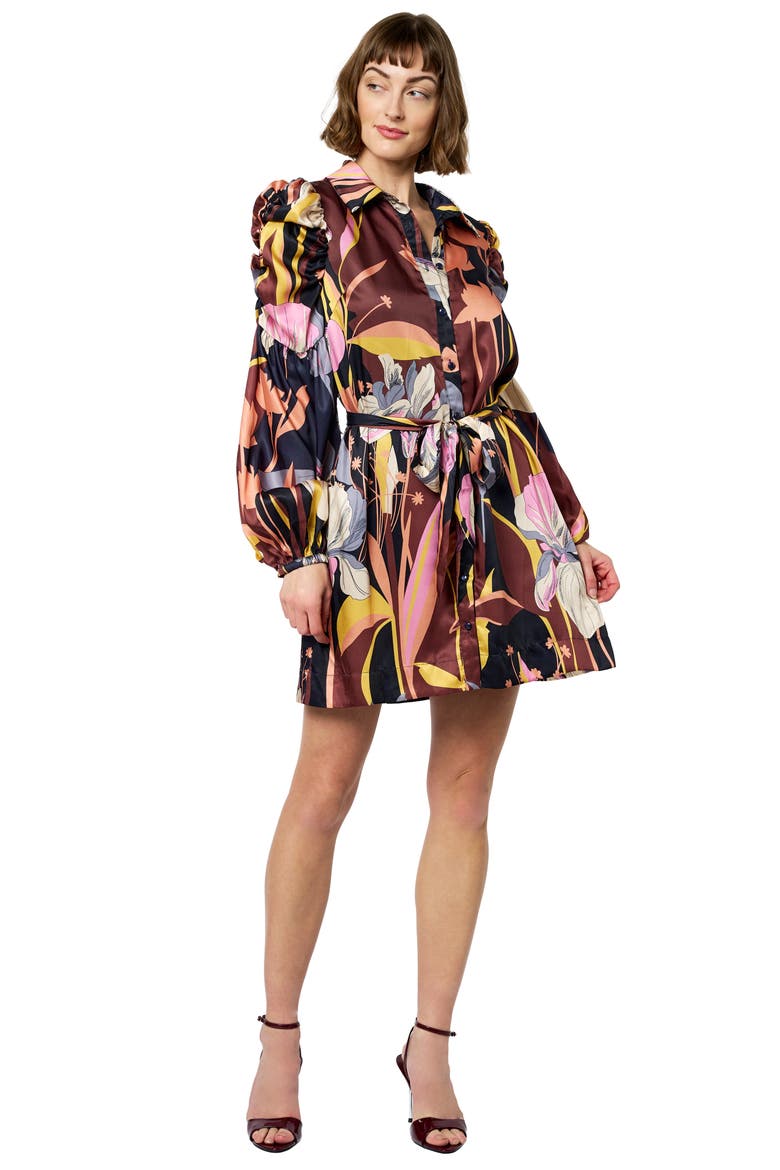 Destin Long Sleeve Shirtdress, Alternate, color, BROWN