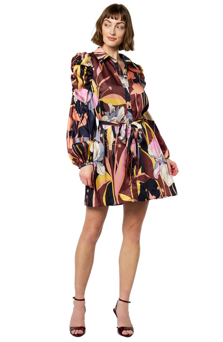 CIEBON Destin Long Sleeve Shirtdress, Alternate, color, Brown