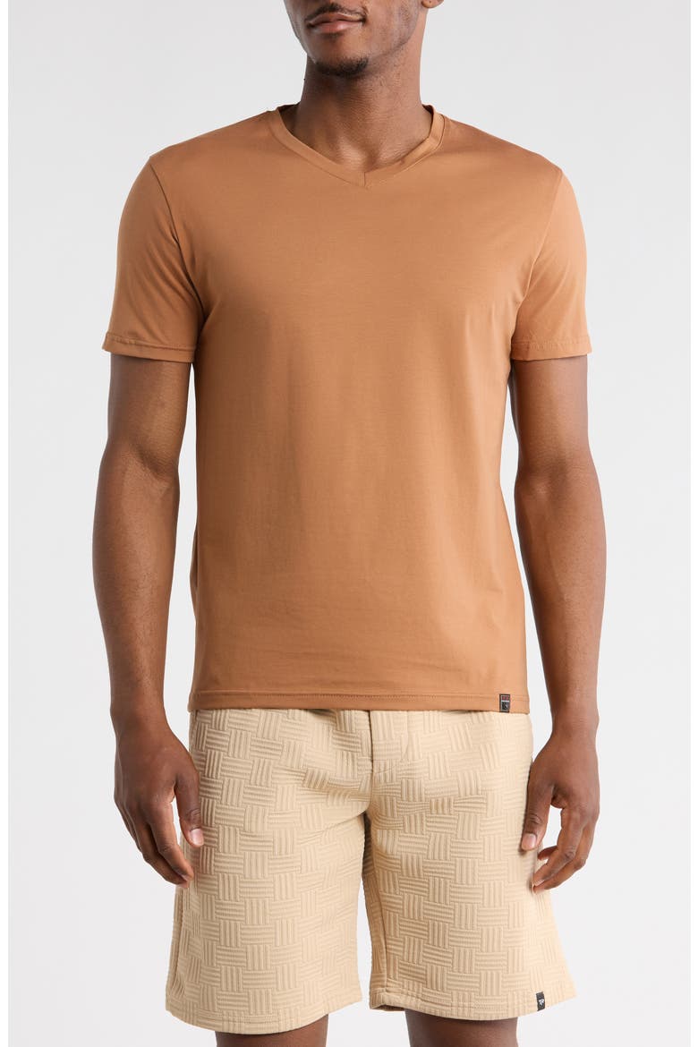 Solid V-Neck T-Shirt, Main, color, MOCHA
