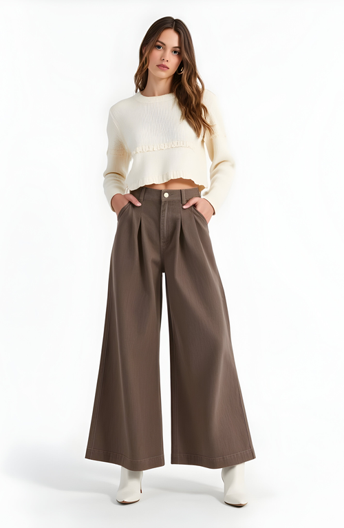 Modenaire High-waist Wide-leg Front-pleated Side-pocket Pants In Brown