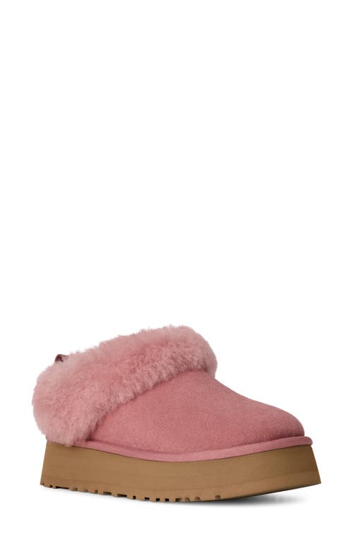 Ugg(r) Tazzelle Genuine Shearling Collar Slipper In Pink
