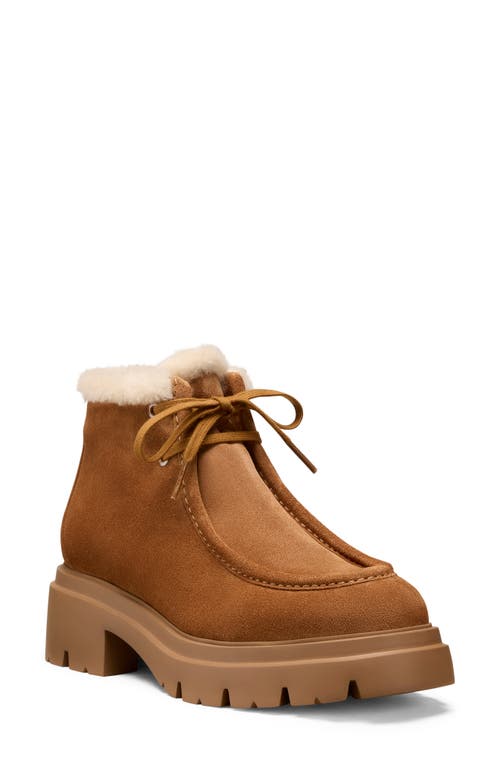 Stuart Weitzman Hudson Shearling-trimmed Suede Ankle Boots In Brown