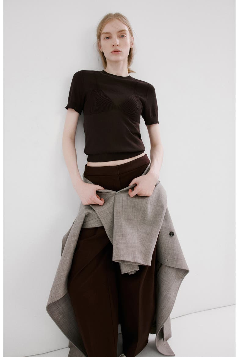 Short Sleeve Sweater, Alternate, color, BROWN