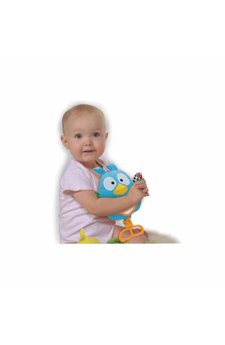 Brilliant Beginnings Teaching Talking Owl, 6 Months+, Alternate, color, Multicolored