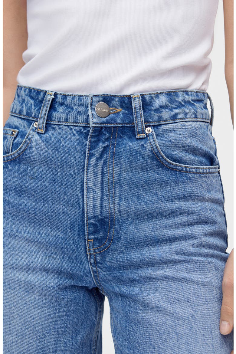 High Waist Straight Leg Jeans, Alternate, color, SKY BLUE