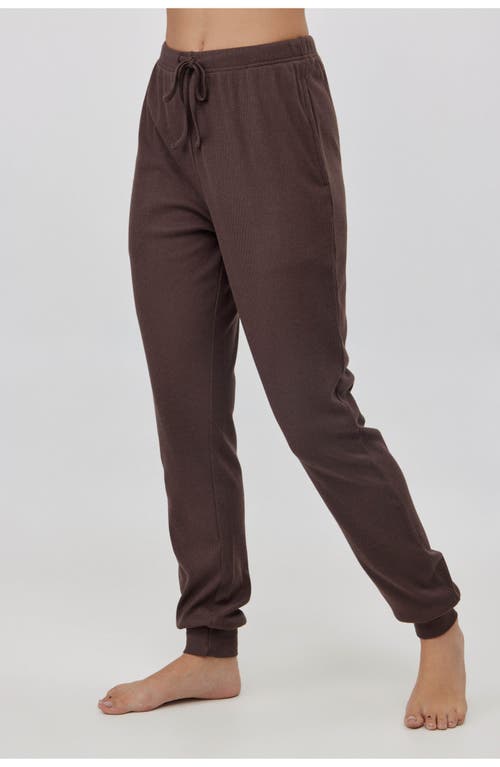 Gottex Beach Life Sandy Days Loungewear Jogger Bottoms In Brown