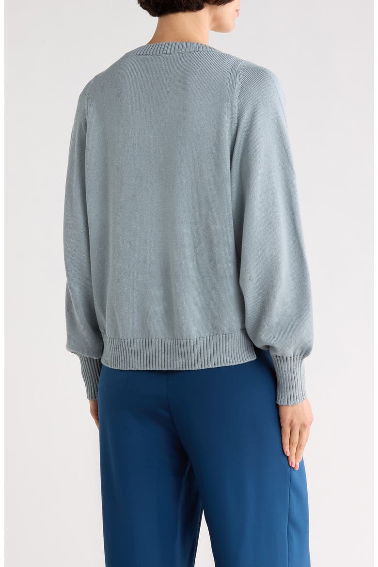 V-Neck Raglan Sleeve Sweater, Alternate, color, DEEP BLUE DUST