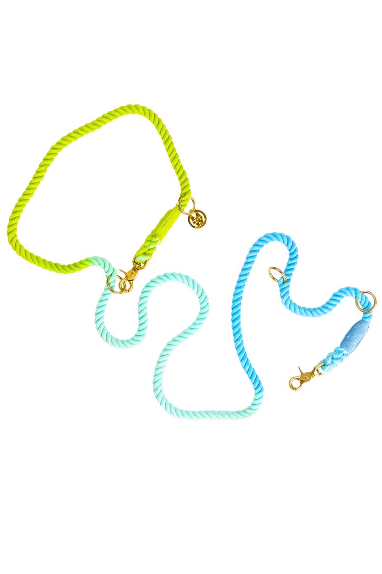 Alexandria Hands-Free Rope Dog Leash, Main, color, Alexandria 7ft