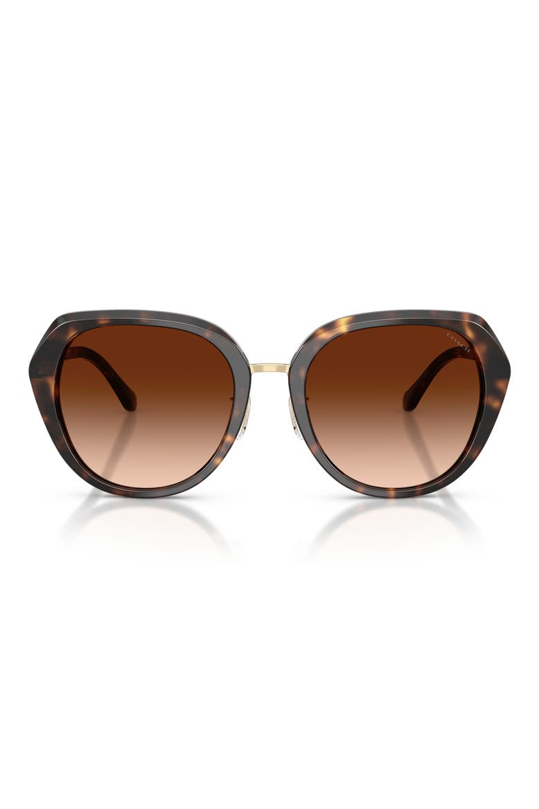 55mm Irregular Round Sunglasses, Main, color, DARK TORTOISE / BROWN GRADIENT