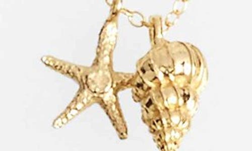 Kiara By Ki-ele Ki-ele Sea Star & Shell Pendant Necklace In Gold
