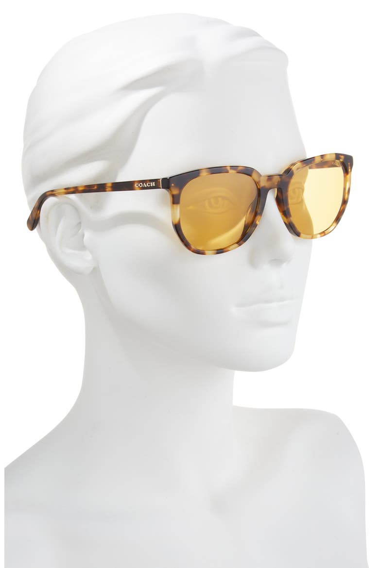 55mm Round Sunglasses, Alternate, color, HONEY HORN