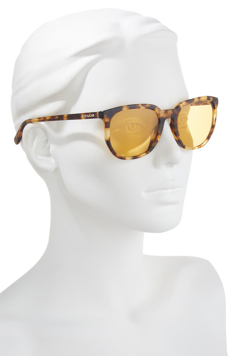 COACH 55mm Round Sunglasses, Alternate, color, Honey Horn