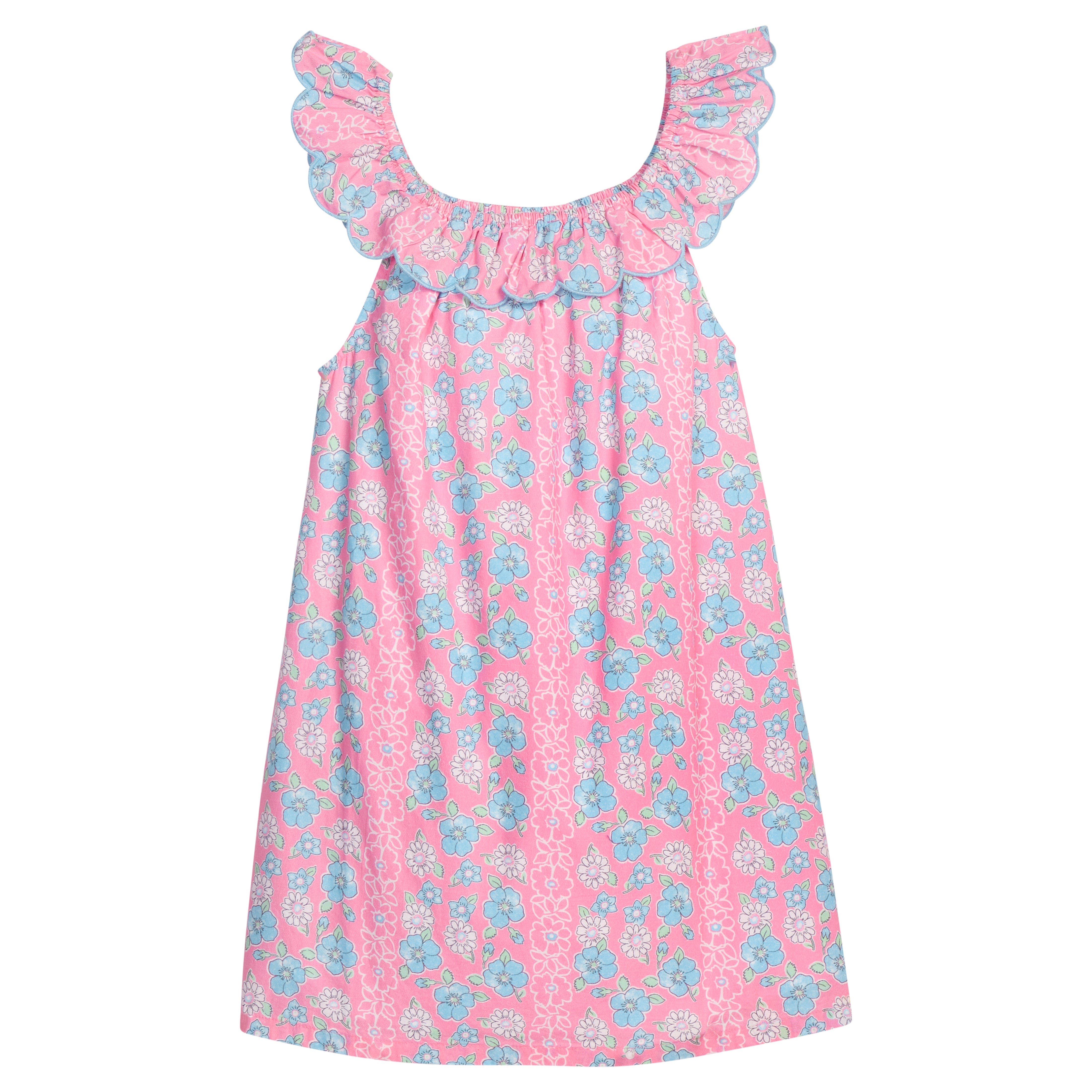 selected Spring Marguerite Floral