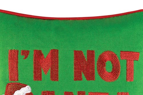 C & F Home C&f Home I'm Not Santa Embroidered Small/petite Accent Pillow In Green