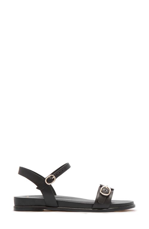 Frankie4 Bree Ankle Strap Sandal In Black