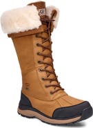 UGG® Adirondack III Waterproof Tall Boot