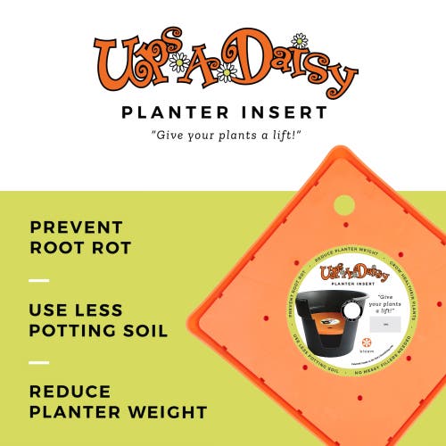 Bloem Upsadaisy Square Planter Insert In Orange