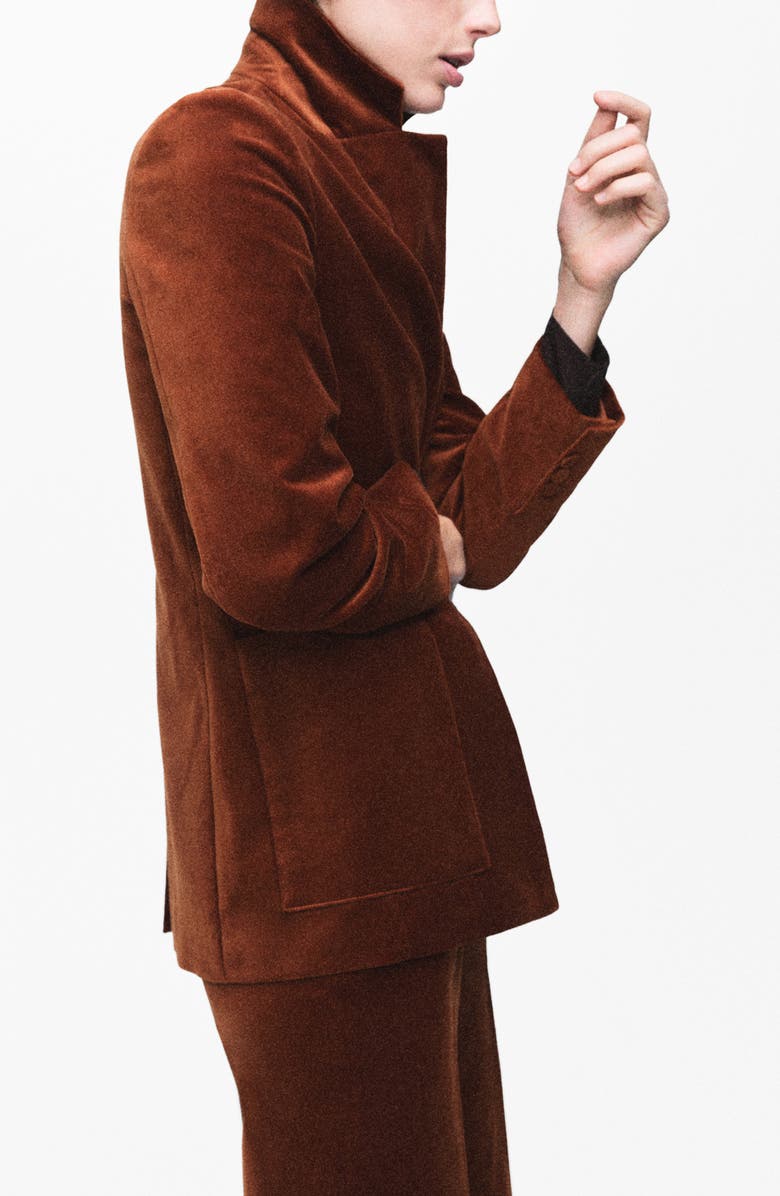 MANGO Velvet Blazer, Alternate, color, Burnt Orange