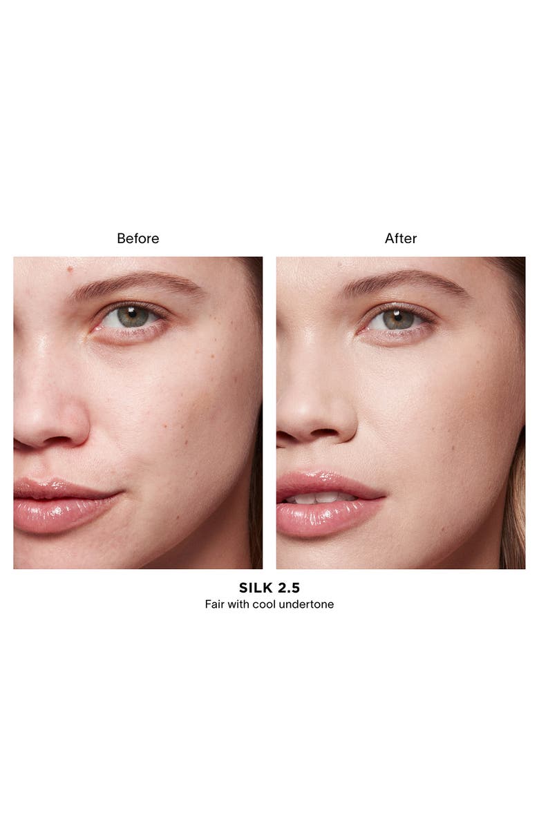 Vanish Airbrush Concealer