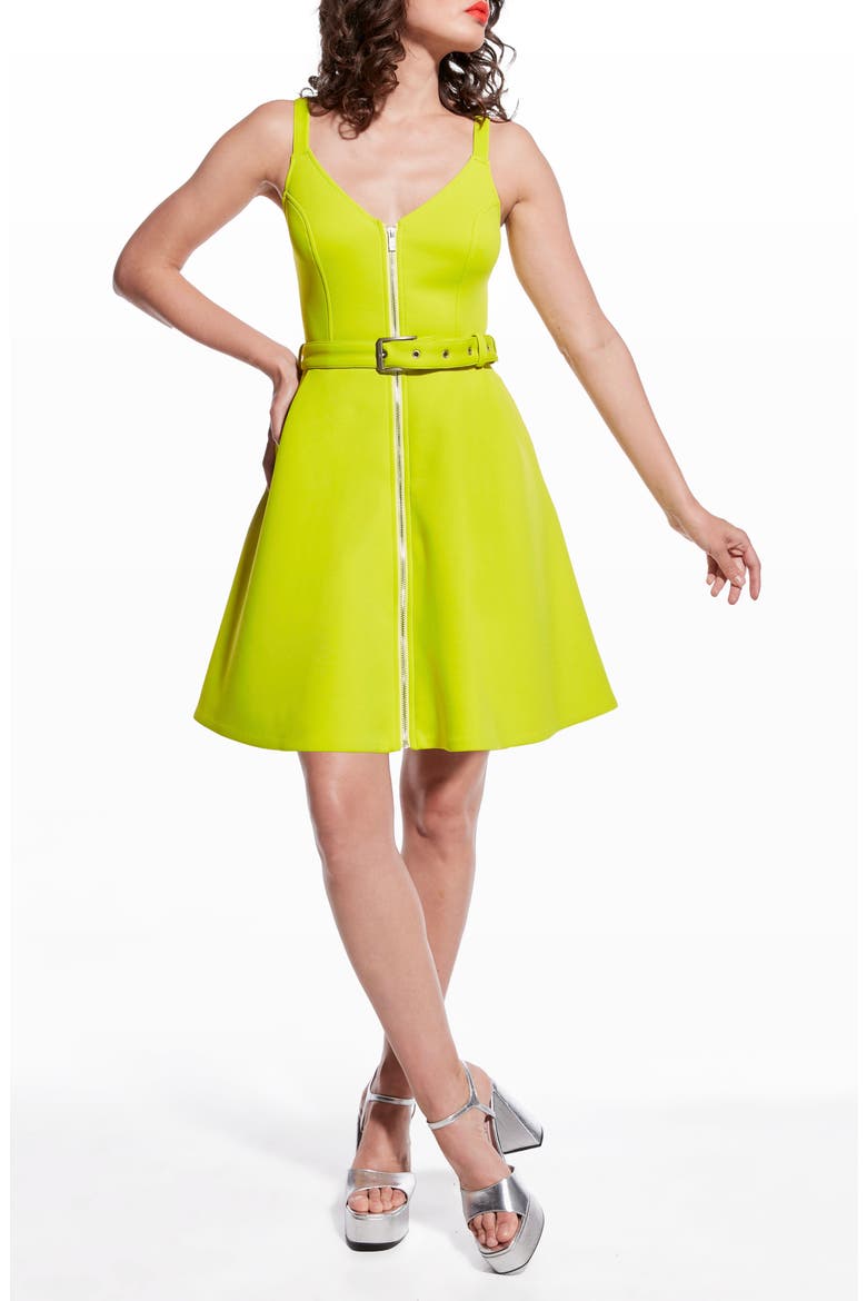 Leanne Belted Fit & Flare Dress, Alternate, color, SORRENTO LIME