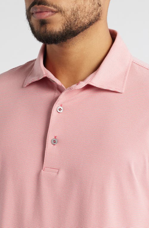 Scott Barber Micro Stripe Performance Polo In Pink