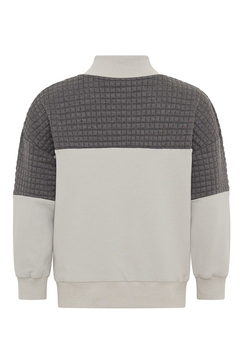 Kids' Quarter Zip Sweatshirt, Alternate, color, GREY