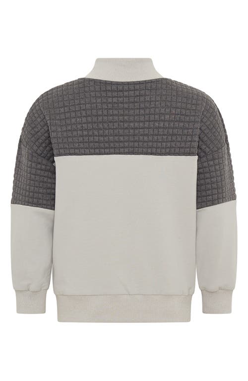 Tiny Tribe Kids' Quarter Zip Sweatshirt In Gray