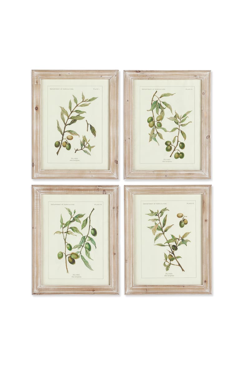 Framed Olive Leaf Botanical Prints Set of 4, Main, color, Off-White
