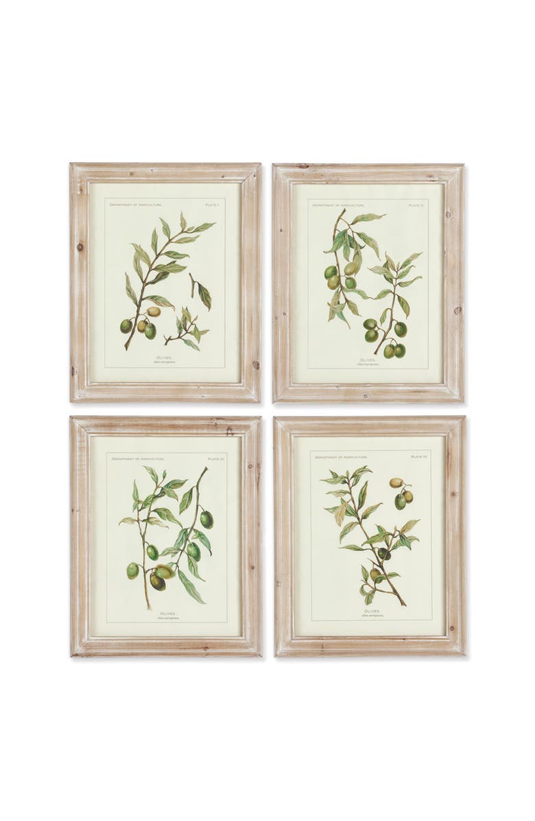 Napa Home & Garden Framed Olive Leaf Botanical Prints Set of 4, Main, color, Off-White