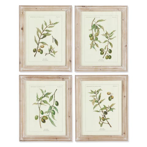 Framed Olive Leaf Botanical Prints Set of 4