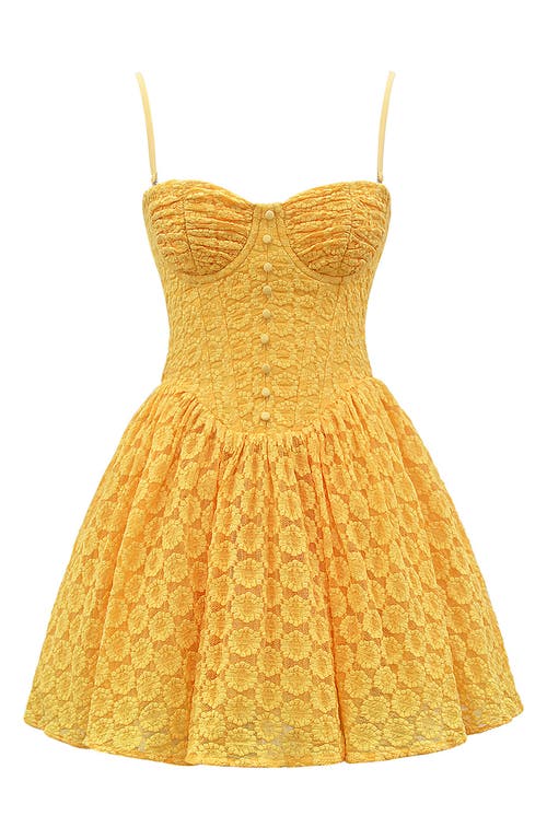 Shop House Of Cb Carolina Stretch Lace Corset Minidress In Apricot