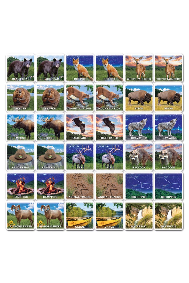 Jr. Ranger Matching Game, Alternate, color, Multicolor